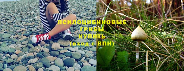 мдпв Балабаново