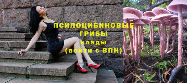 тгк Новодвинск