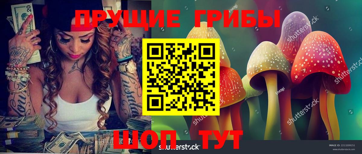 Псилоцибиновые грибы MAGIC MUSHROOMS Ессентуки