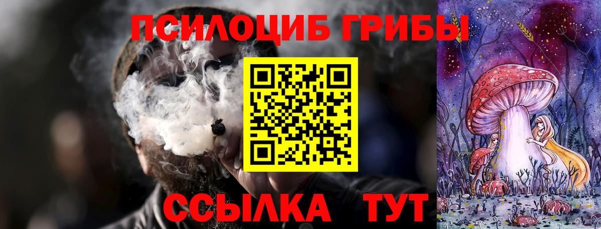 Псилоцибиновые грибы GOLDEN TEACHER  Псилоцибиновые грибы Psilocybe  Вход с VPN  Ессентуки 