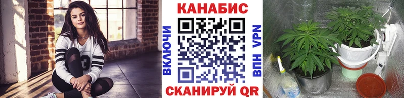 цена наркотик  Ессентуки  Бошки Шишки MAZAR 