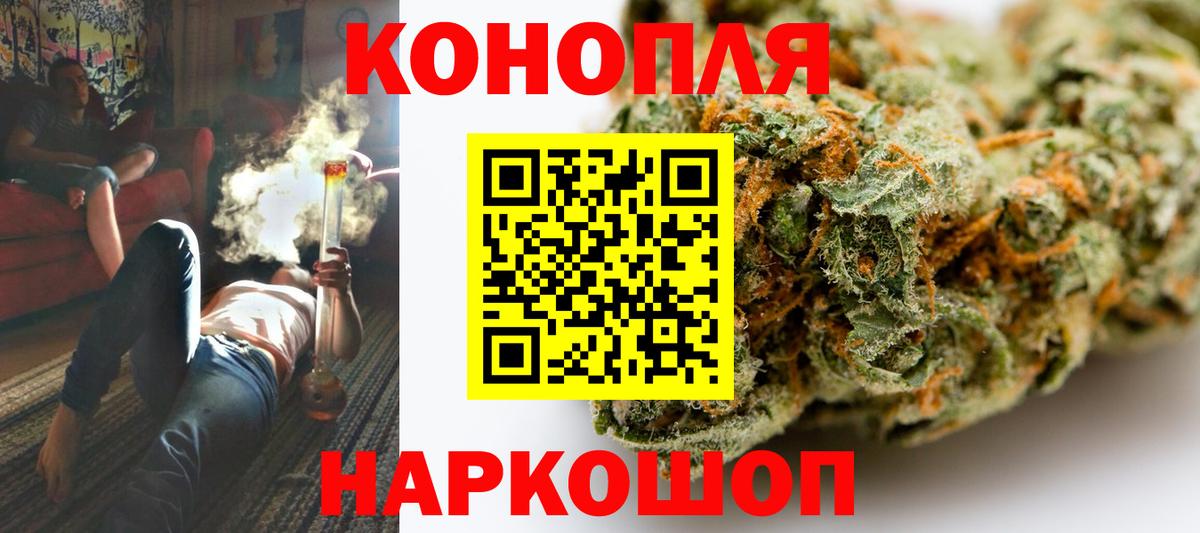 Конопля план Ессентуки